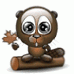 Cute beaver